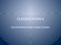 CLASSIFICATION II dichotomous key (1).pptx